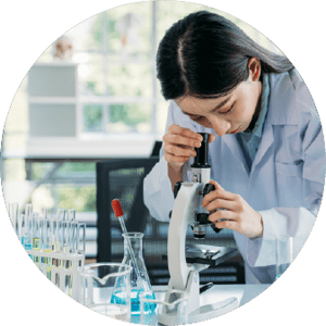 Recurso 13-Dec-24-2024-04-49-15-1881-PM Recurso 13-Dec-24-2024-04-49-15-1881-PM